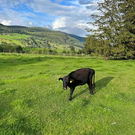 Det Vesle Huset Pa Lysaker *