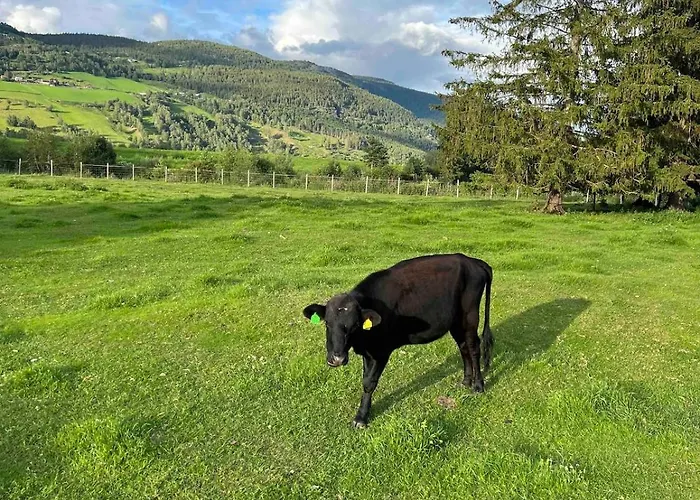 Det Vesle Huset Pa Lysaker *