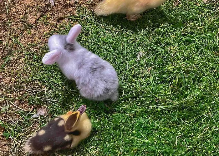 Det Vesle Huset Pa Lysaker