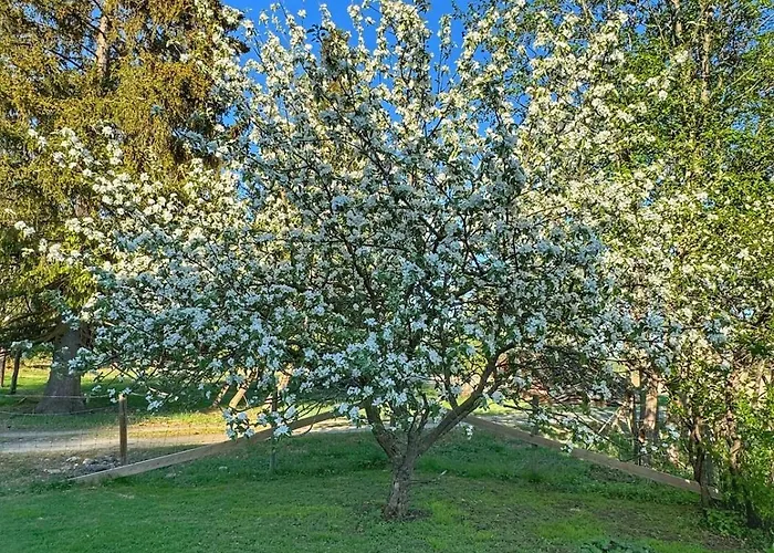 Det Vesle Huset Pa Lysaker * Nord-Fron