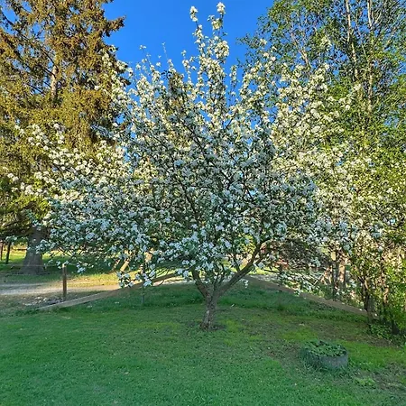 Det Vesle Huset Pa Lysaker * Nord-Fron